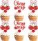 24-Pack “She’s the Cherry On Top” Cupcake Toppers – Glitter Cherry Cupcake Picks for Fruit-Themed Baby Showers, Bridal Showers, Weddings & Birthday Party Decorations